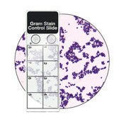 Gram Control Slides